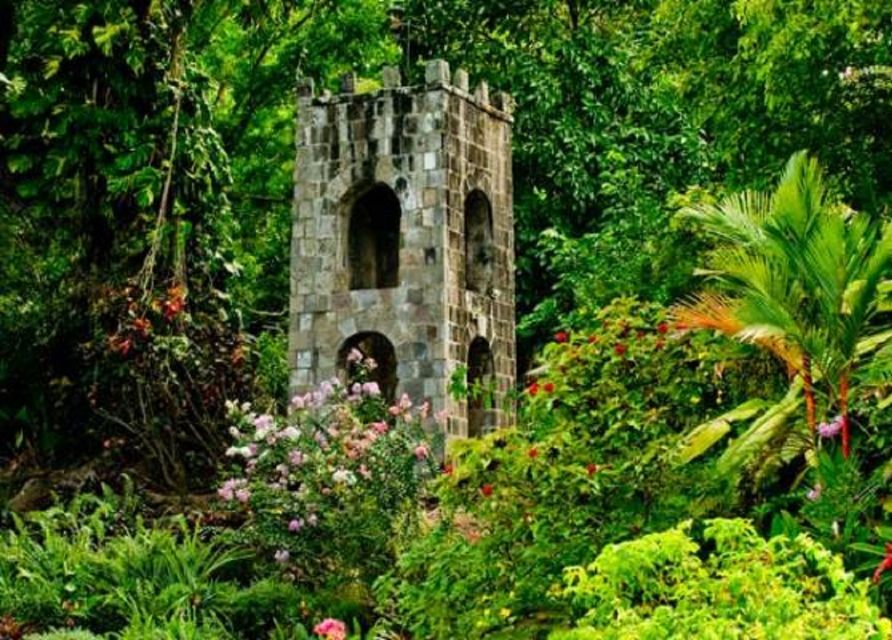 Basseterre: Plantation and Beach Extravaganza - Key Points