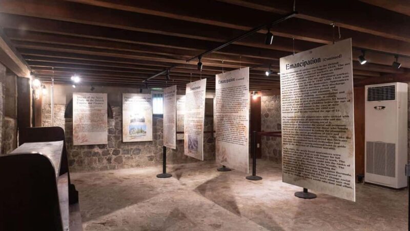 Basseterre Plantation Half Day Tour - What the Reviews Say