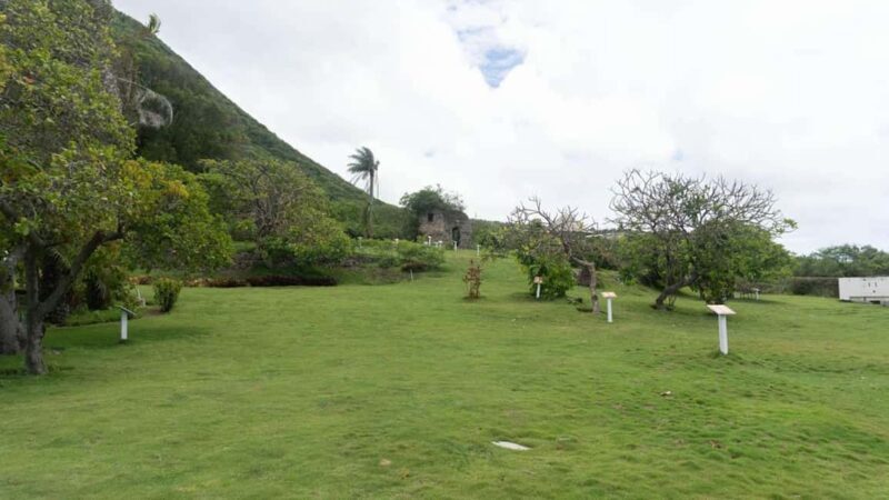 Basseterre Plantation Half Day Tour - Final Thoughts: Who Should Take This Tour?