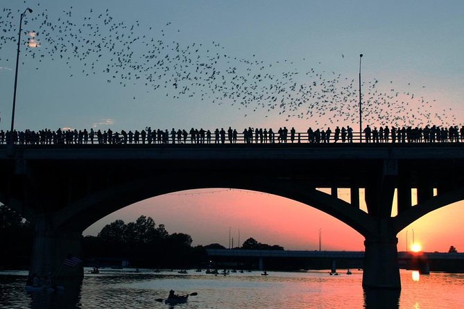 Bat Bridge Segway Tour - Good To Know