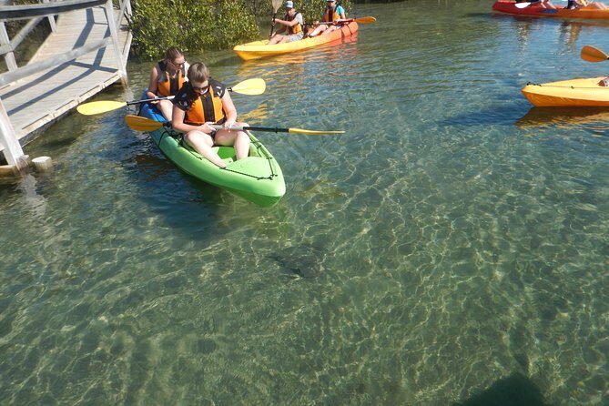 Batemans Bay Glass-Bottom Kayak Tour Over 2 Relaxing Hours - Introduction