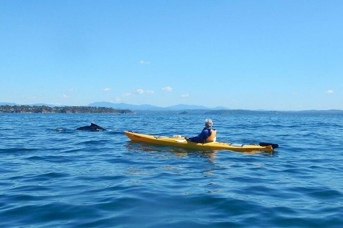 Batemans Bay Glass-Bottom Kayak Tour Over 2 Relaxing Hours - Who Would Enjoy This?