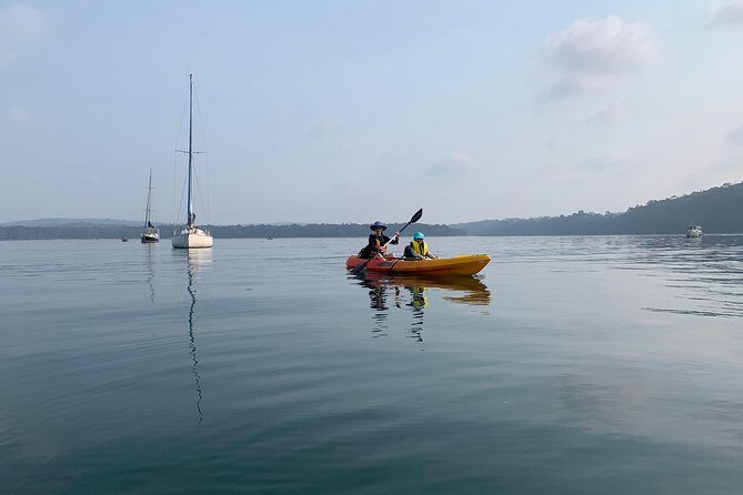 Batemans Bay Glass-Bottom Kayak Tour Over 2 Relaxing Hours - The Sum Up