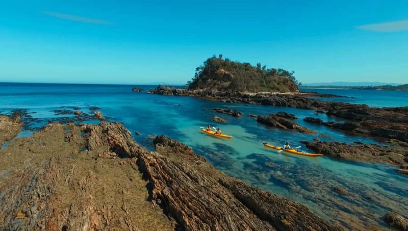 Batemans Bay: Half-Day Sea Kayak Tour - An Overview of the Experience