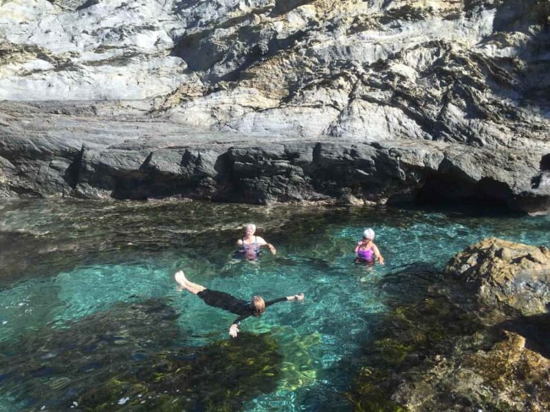 Batemans Bay: Half-Day Sea Kayak Tour - Why This Tour Offers Great Value