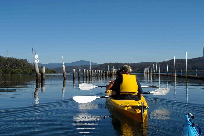 Batemans Bay Oyster Tasting Kayak Tour - Key Points