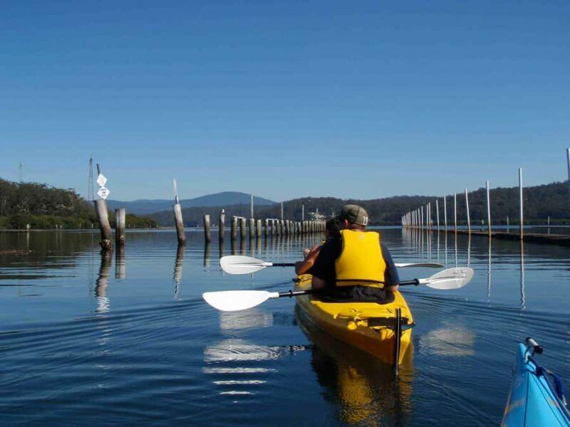 Batemans Bay: Oyster Tasting Kayak Tour - What to Expect from the Batemans Bay Oyster Tasting Kayak Tour