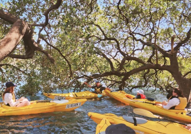 Batemans Bay: Oyster Tasting Kayak Tour - Practical Details and Considerations