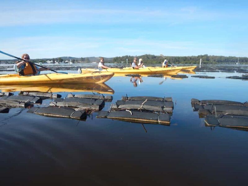 Batemans Bay: Oyster Tasting Kayak Tour - What Travelers Are Saying