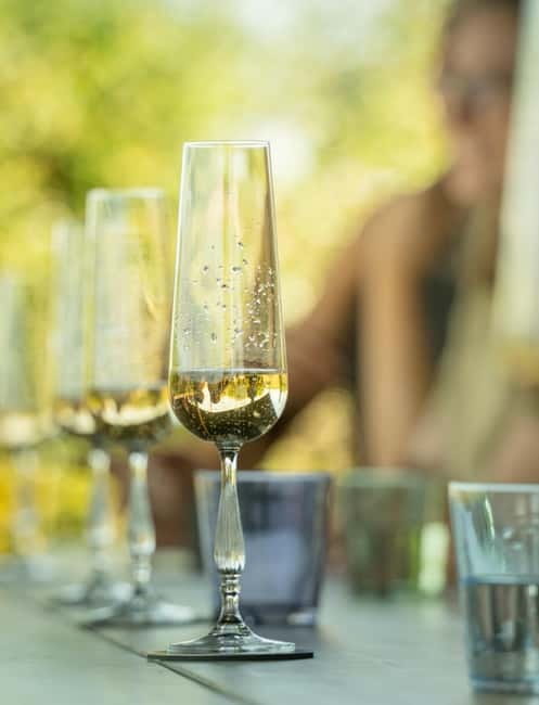 Bath: Vineyard Tour, Wine Tasting, and Music Pairing - Key Points