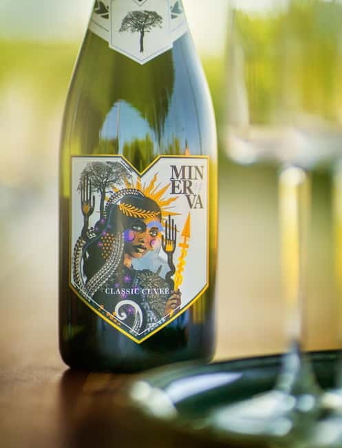 Bath: Vineyard Tour, Wine Tasting, and Music Pairing - Food and Pairings