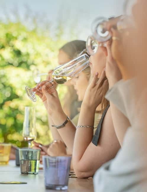 Bath: Vineyard Tour, Wine Tasting, and Music Pairing - Practical Tips