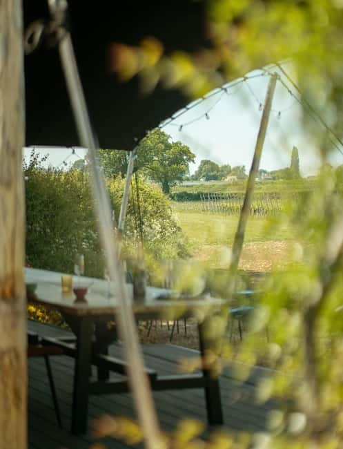 Bath: Vineyard Tour, Wine Tasting, and Music Pairing - Who Should Consider This Tour?