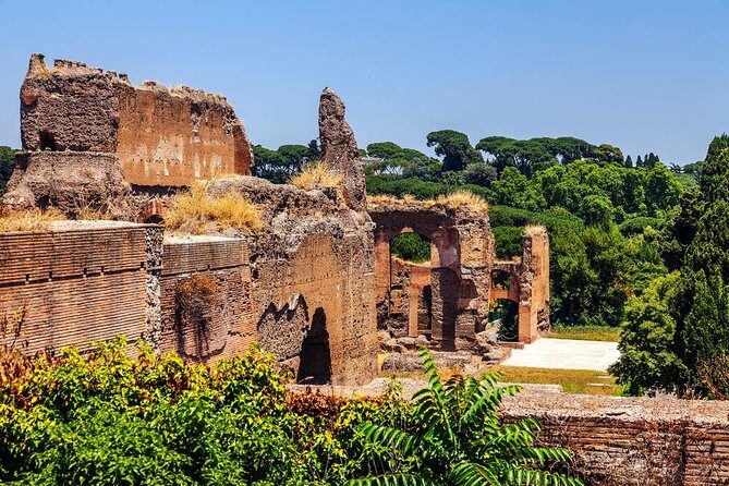 Baths of Caracalla Exclusive Private Tour | Roman Daily Life Walking Guided Tour - Exploring the Baths of Caracalla Private Tour: A Deep Dive into Roman Wellness and Architecture