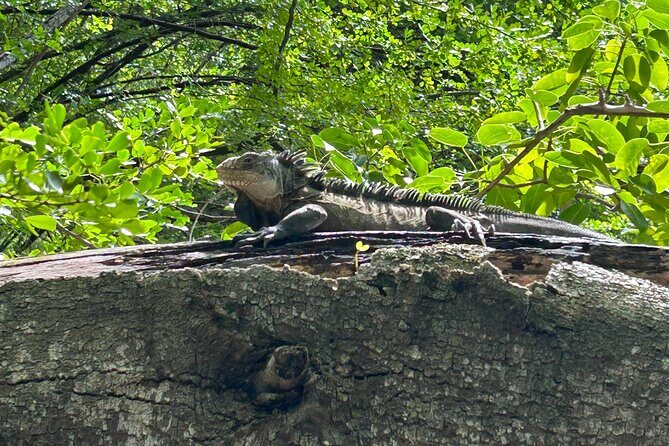 Bathtub of Josephine and Islands Half day Boat trip - FAQ: Practical Questions About the Tour