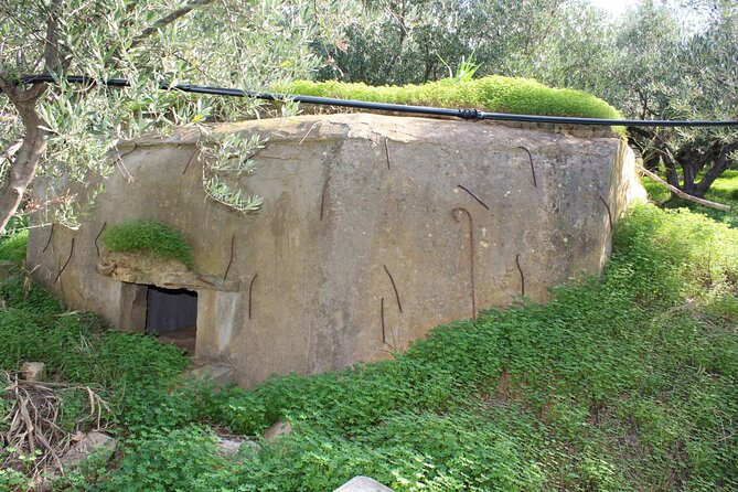 Battle of Crete Full Day Private Tour in Chania - Tour Price and Booking