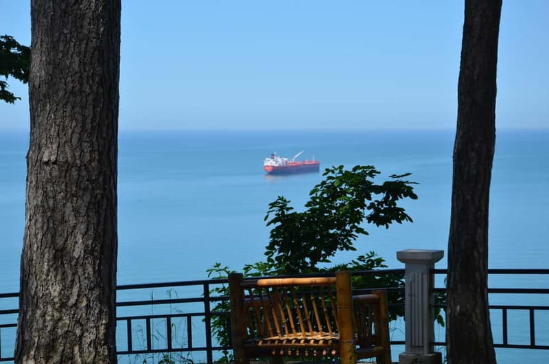 Batumi: Botanical Garden, Petra Fortress and Miniatures Park - Starting at the Botanical Garden: Nature’s Quiet Corner