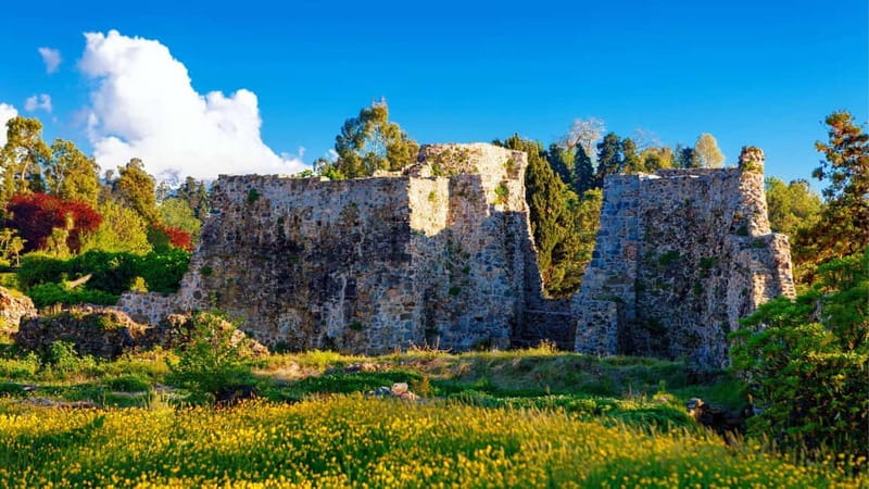 Batumi City - Botanical Garden - Petra Fortress from Kutaisi - Frequently Asked Questions