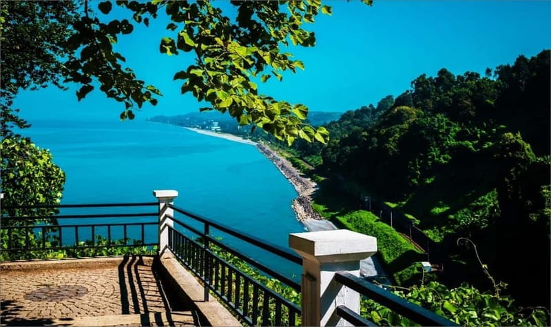 Batumi: Exploring Botanical Garden + Family Wine Tasting - Introduction to the Experience