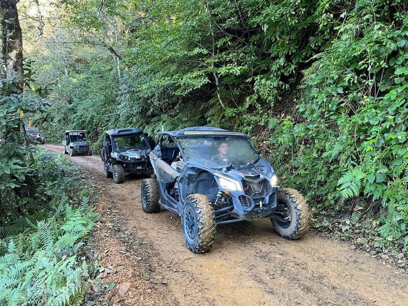 Batumi: Mtirala ATV, Buggy and Horse Riding Adventure Trip - Key Points