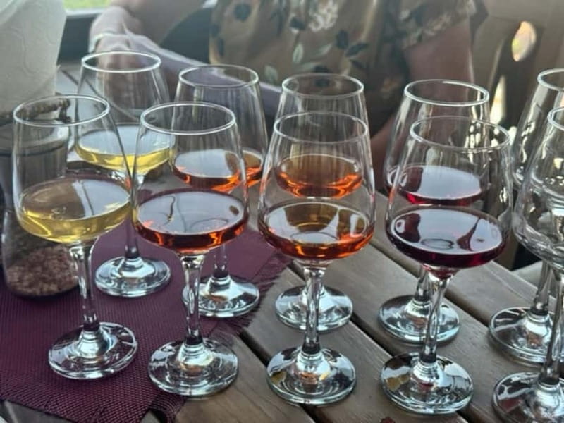 BATUMI: Private, Walking Tour + Tasting of Georgian Wines - Key Points