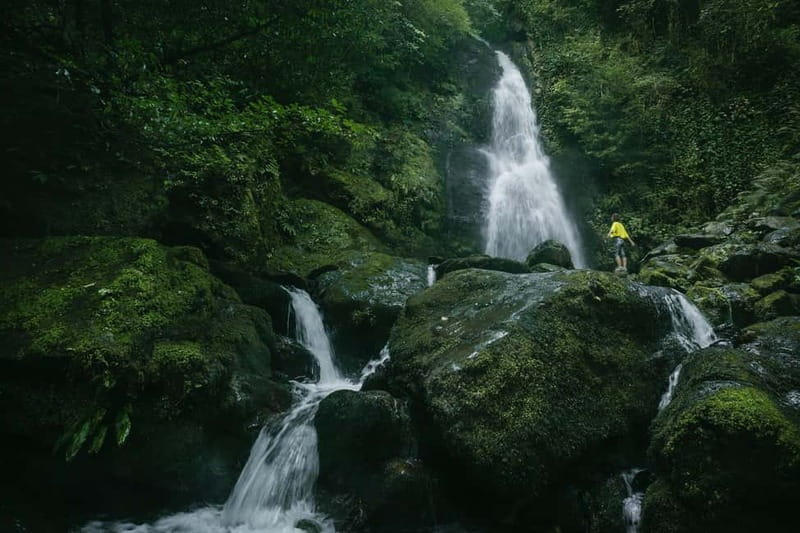 Batumi to Mtirala National park - Half day hiking group tour - What makes this tour stand out