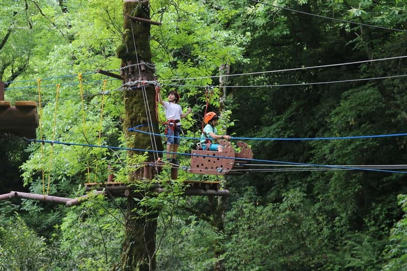 Batumi to Mtirala National park - Half day hiking group tour - Pricing and Value