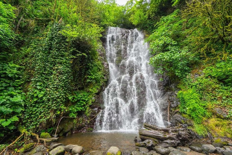 Batumi: Wine & Dine Tour To Waterfalls - Mountainous Adjara - The Sum Up