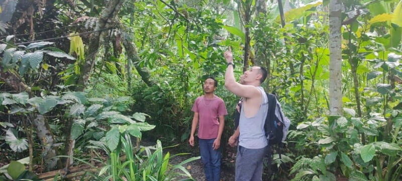 Batur Volcano Jeep Tour & Explore Best Waterfall in Bali - FAQ