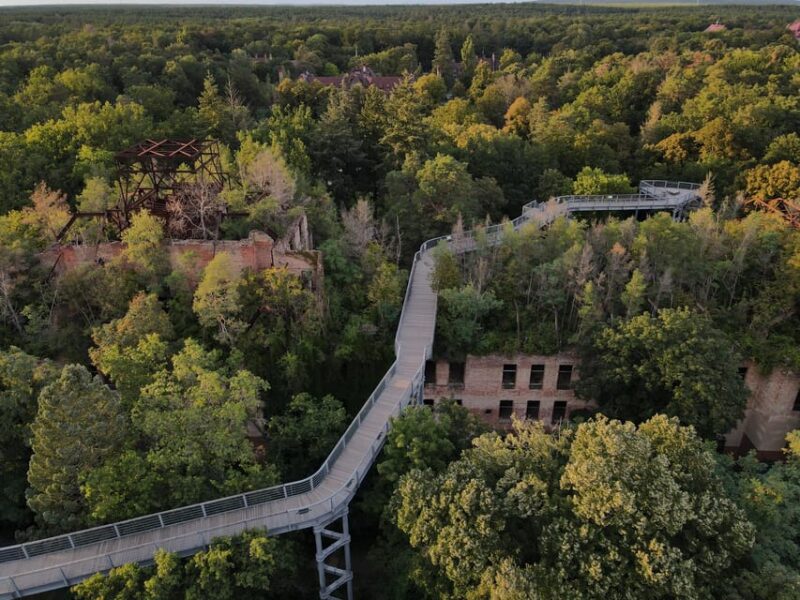 Baum&Zeit Beelitz-Heilstätten: Tree Top Walk Entry Ticket - Historical Context
