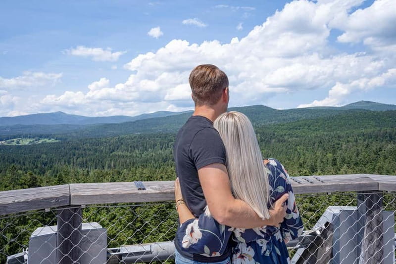 Bavarian Forest: Treetop Walk & Egg Tower Experience - Key Points