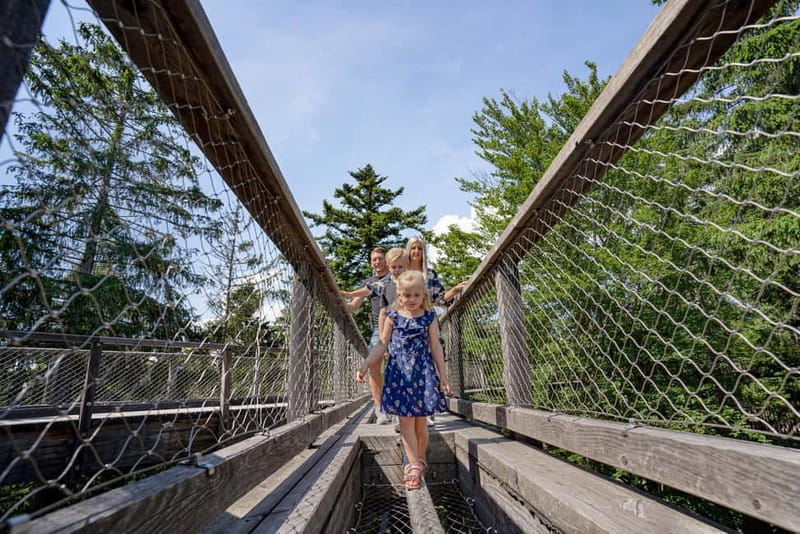 Bavarian Forest: Treetop Walk & Egg Tower Experience - The Treetop Walk: An Easy, Accessible Forest Stroll