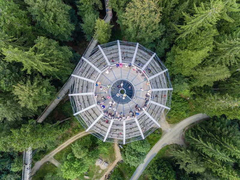 Bavarian Forest: Treetop Walk & Egg Tower Experience - The Views and Photo Opportunities