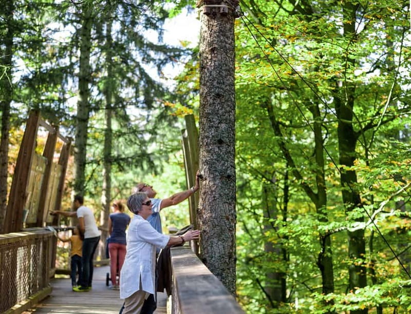 Bavarian Forest: Treetop Walk & Egg Tower Experience - Practical Information and Tips