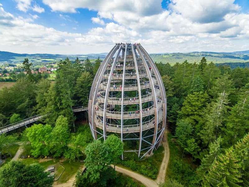 Bavarian Forest: Treetop Walk & Egg Tower Experience - Who Is This Experience Best For?