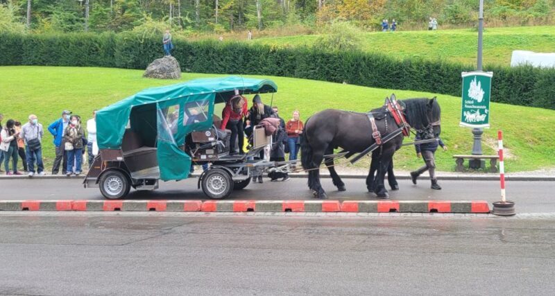 Bavarian Highlights Private Day Tour - The UNESCO Gem: Wieskirche