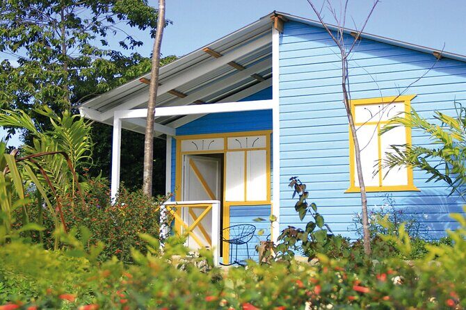 Bavaro Adventure Park Buggy Ride, Zipline Mega Splash, and Waterfall Pool - Who Will Love This Tour?