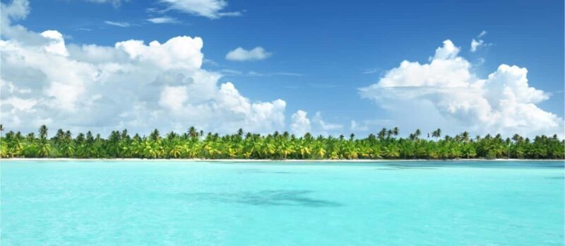 Bávaro: Catalina Island Diving Tour with BBQ & Drinks - The Practical Side: Pricing, Group Size, and What You Need to Know