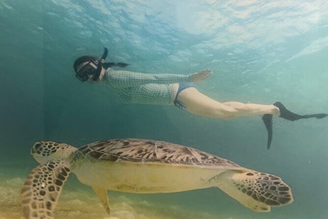 Bavaro Punta Cana EN boat party with drinks and transportation - Why Travelers Keep Coming Back (and Reviewing So Positively)