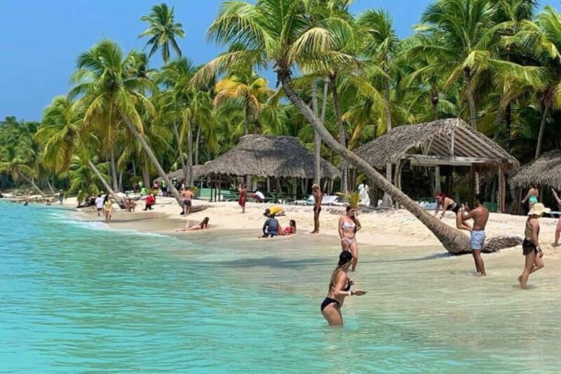 Bavaro: Saona Island Speedboat Tour with Open Bar - Key Points