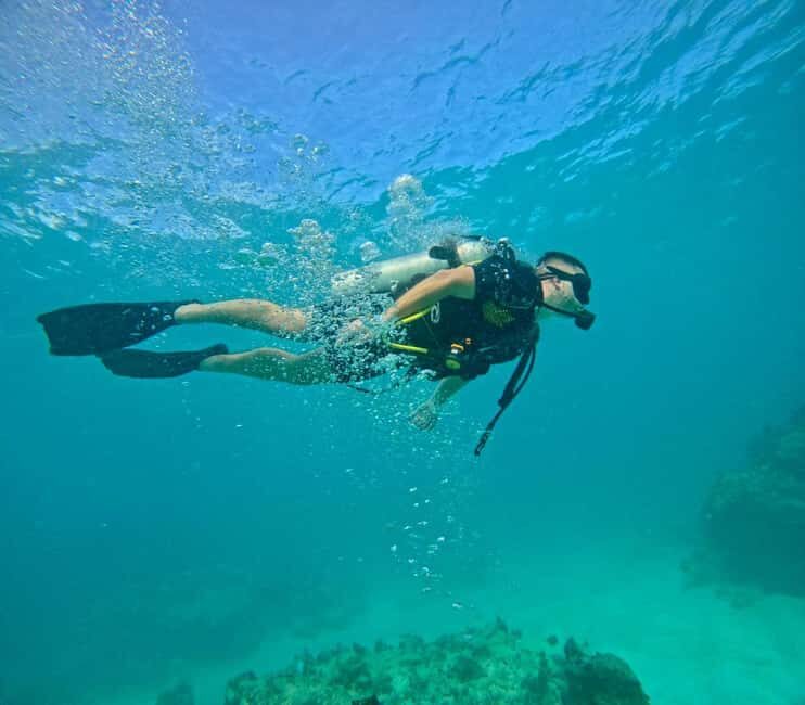 Bávaro: Scuba Diving Experience for Beginners - An Honest Look at the Experience in Bávaro