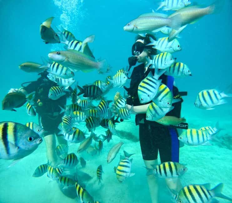 Bávaro: Scuba Diving Experience for Beginners - Detailed Breakdown of the Itinerary