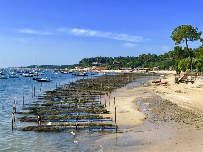 Bay of Arcachon: Guided Food Tour - Customer Reviews