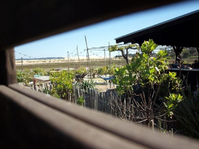 Bay of Arcachon: Guided Food Tour - Frequently Asked Questions