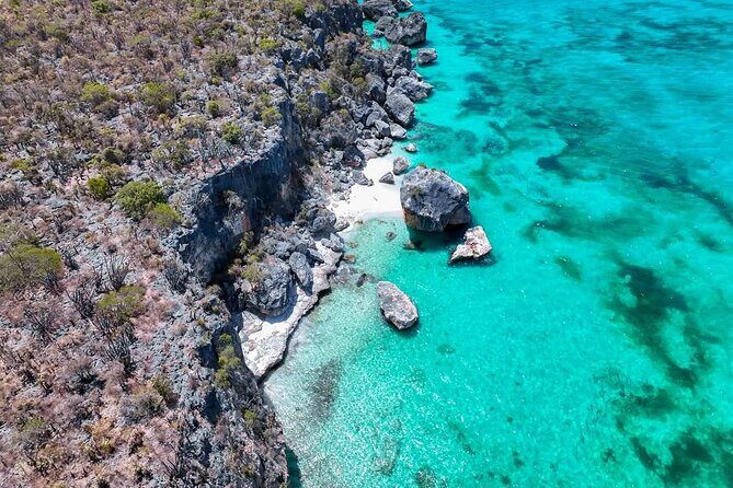 Bay of Eagles VIP : Full Day to Paradise From Santo Domingo - The Sum Up