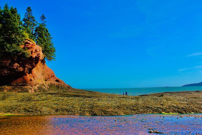 Bay Of Fundy Guided Tour - Key Points