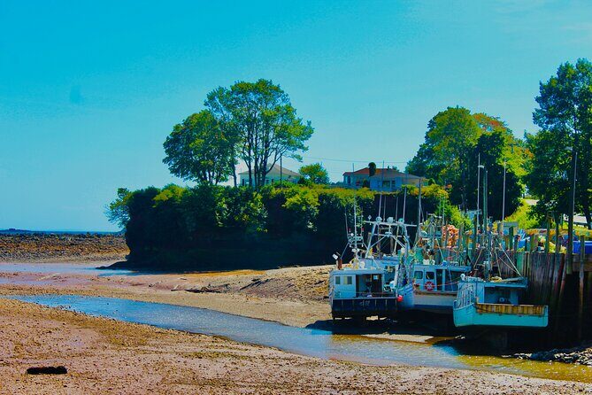 Bay Of Fundy Guided Tour - A Deep Dive into the Itinerary