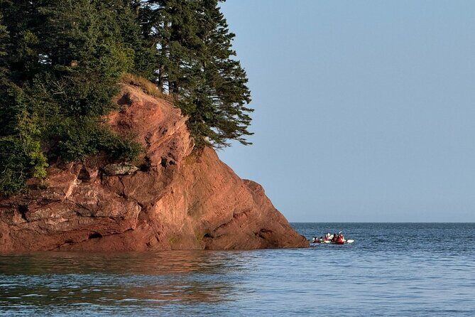 Bay Of Fundy Guided Tour - Final Thoughts: Is It Worth It?