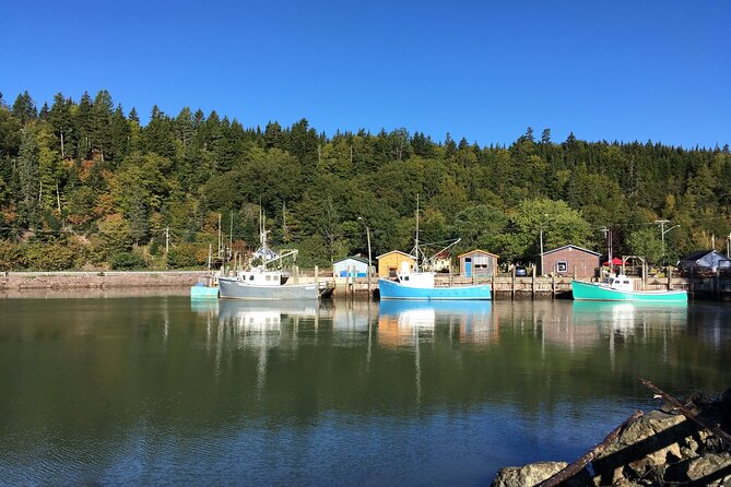 Bay of Fundy Tour in Luxury Car - Good To Know