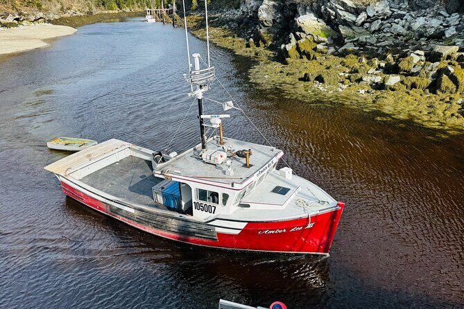 Bay of Fundy Tour Saint John NB - FAQ